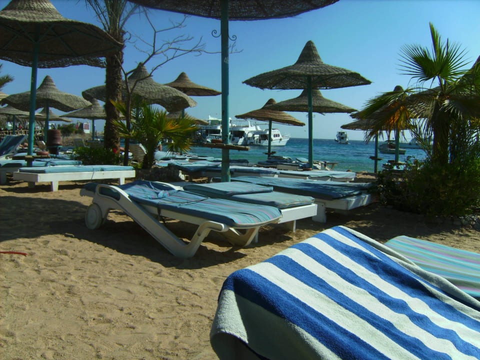 Liegen am Strand Bella Vista Resort Hurghada