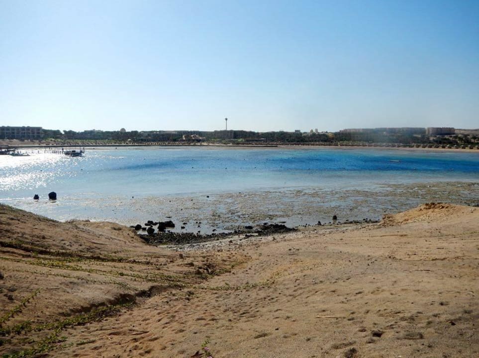 Ebbe! Steigenberger Coraya Beach - Adults only