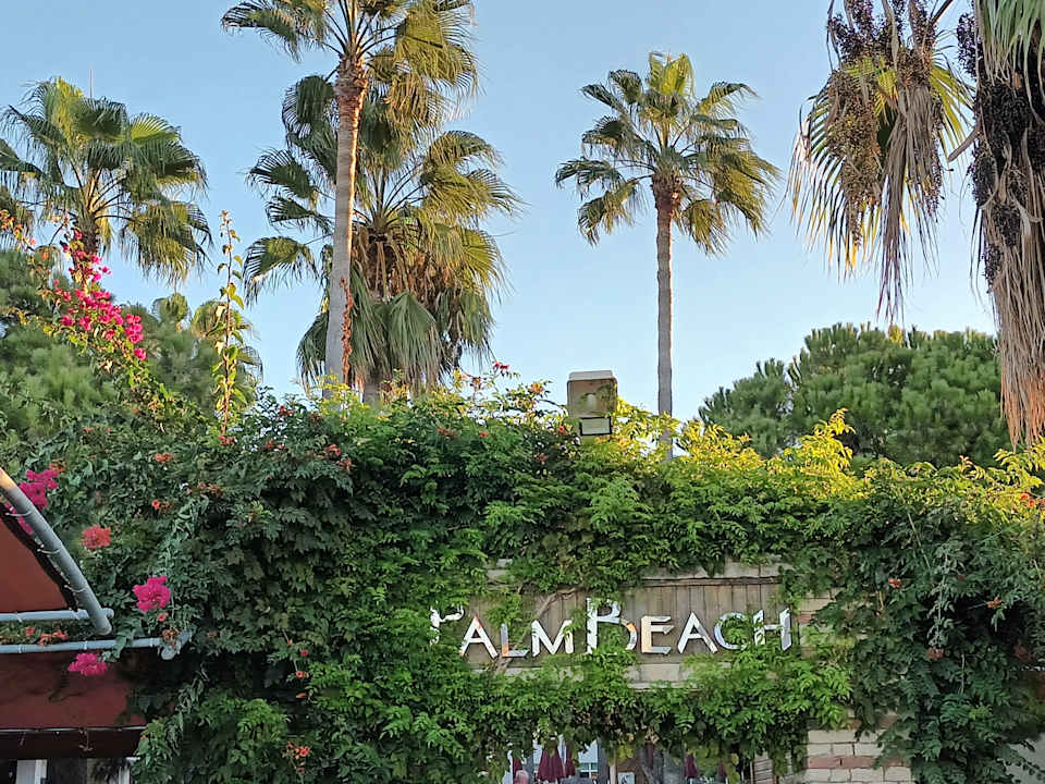 Gartenanlage Trendy Palm Beach (Adults Only, 16+)