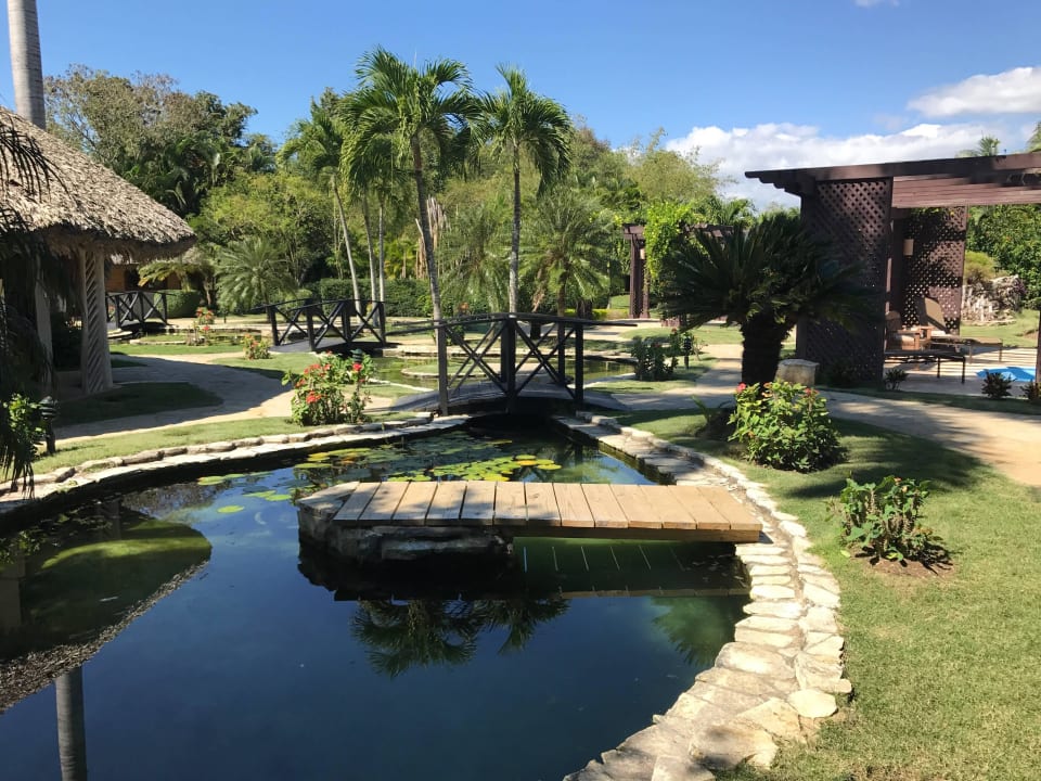 Der Garten im Spa Dreams La Romana Resort & Spa