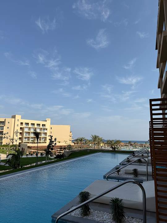 Zimmer JAZ Elite Asteria