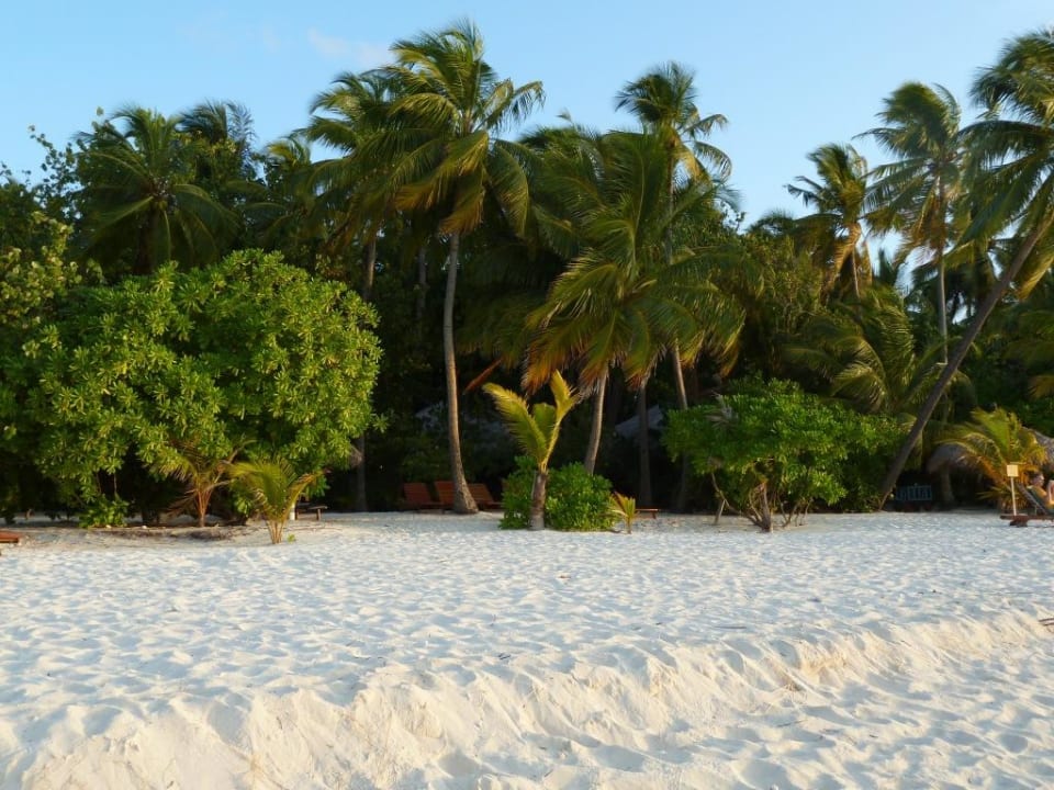 Strand vor Exit 6 Filitheyo Island Resort