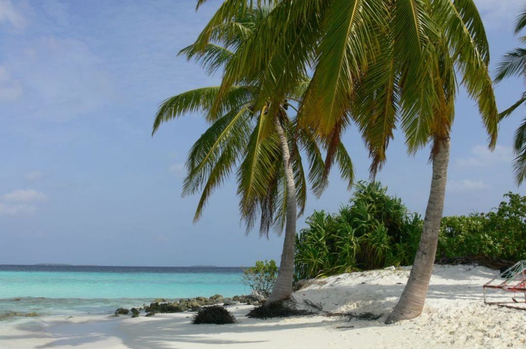 Trauminsel Theluveliga Vilamendhoo Island Resort & Spa