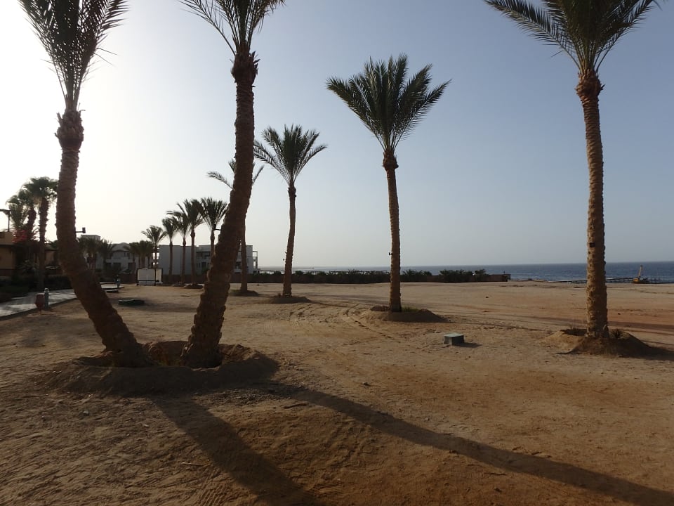 Strand Steigenberger Coraya Beach - Adults only