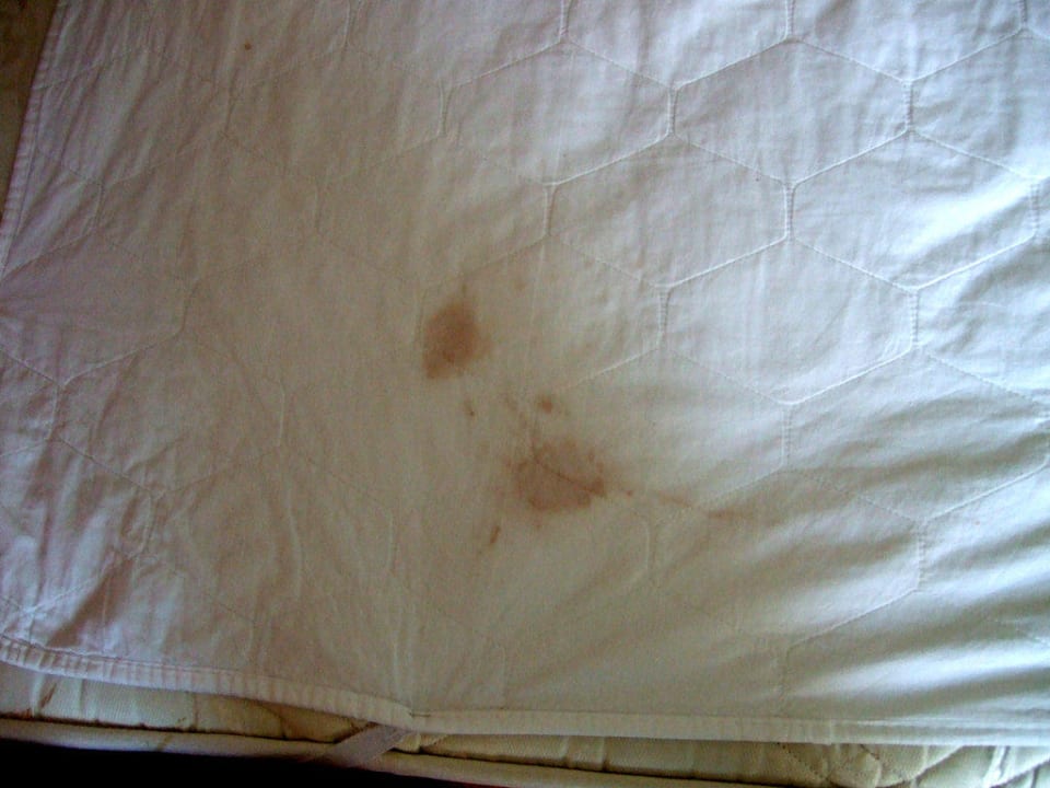 Blutfleck auf Matratzenauflage im Doppelbett Calimera Serra Palace