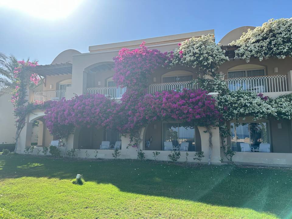 Zimmer TUI MAGIC LIFE Kalawy