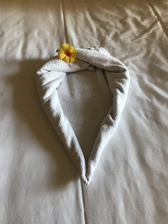 Zimmer PALOMA Perissia