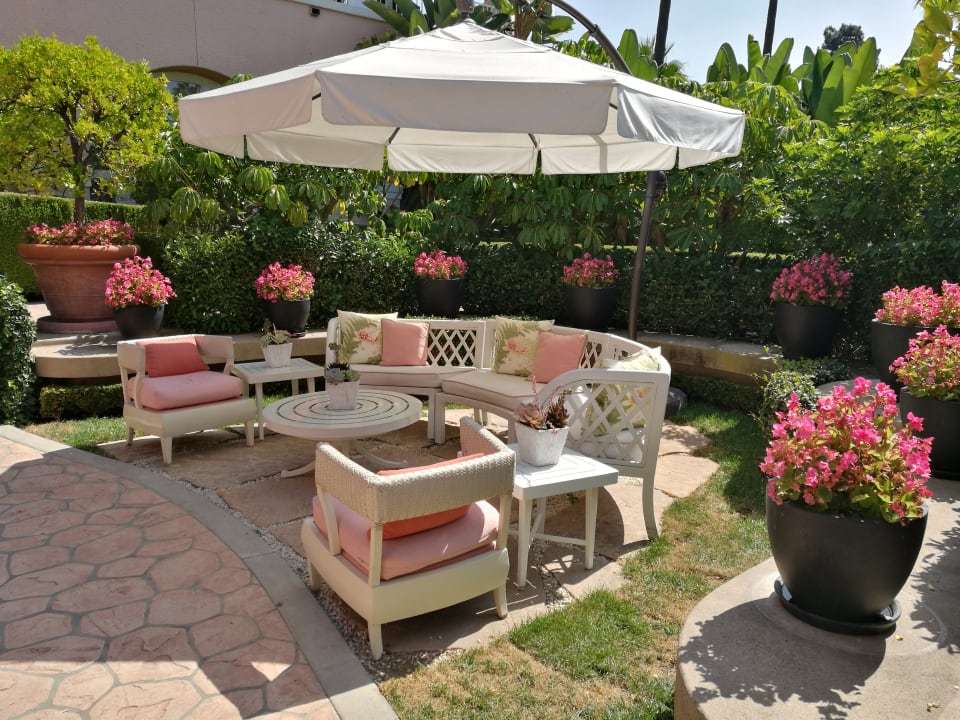 Gartenanlage Hotel The Beverly Hills