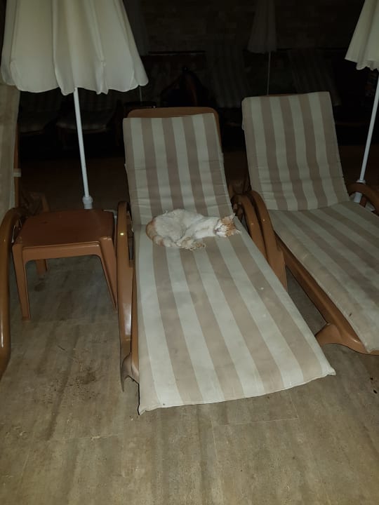 Pool Prestige Alanya