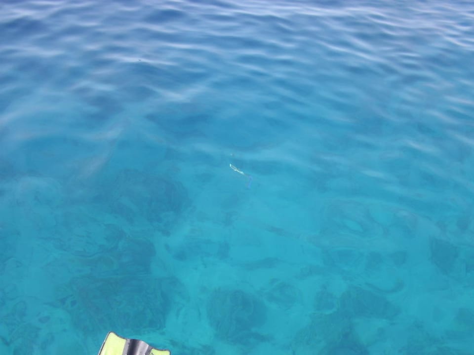 Riff Sharm Resort
