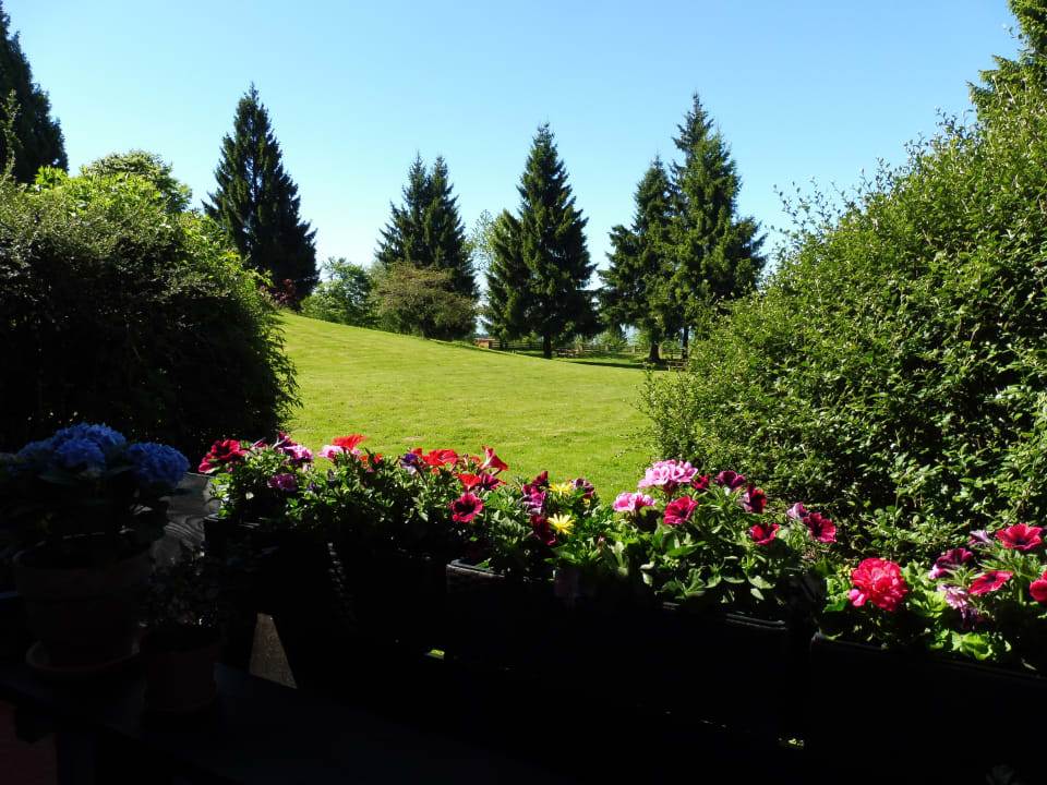 Ausblick Bayerwald Ferienwohnungen Brinckmann