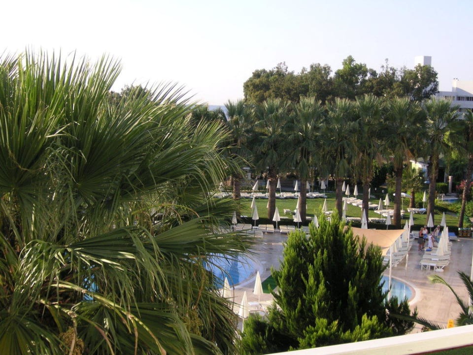 Blick vom Balkon zum Pool Asteria Collection Side