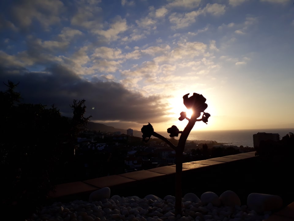 Ausblick Tigaiga Suites