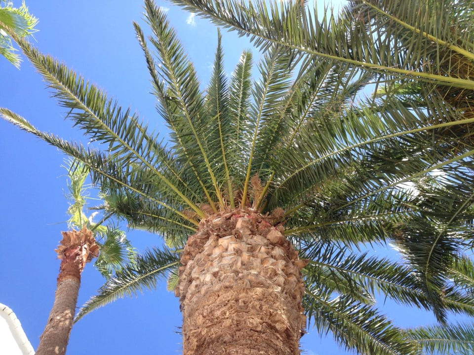 Ausblick Hotel Rocas Blancas