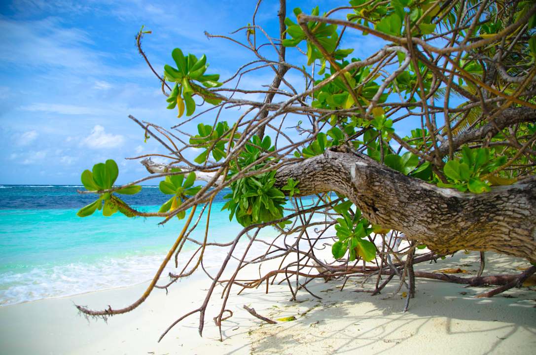 Schön Kuredu Island Resort & Spa