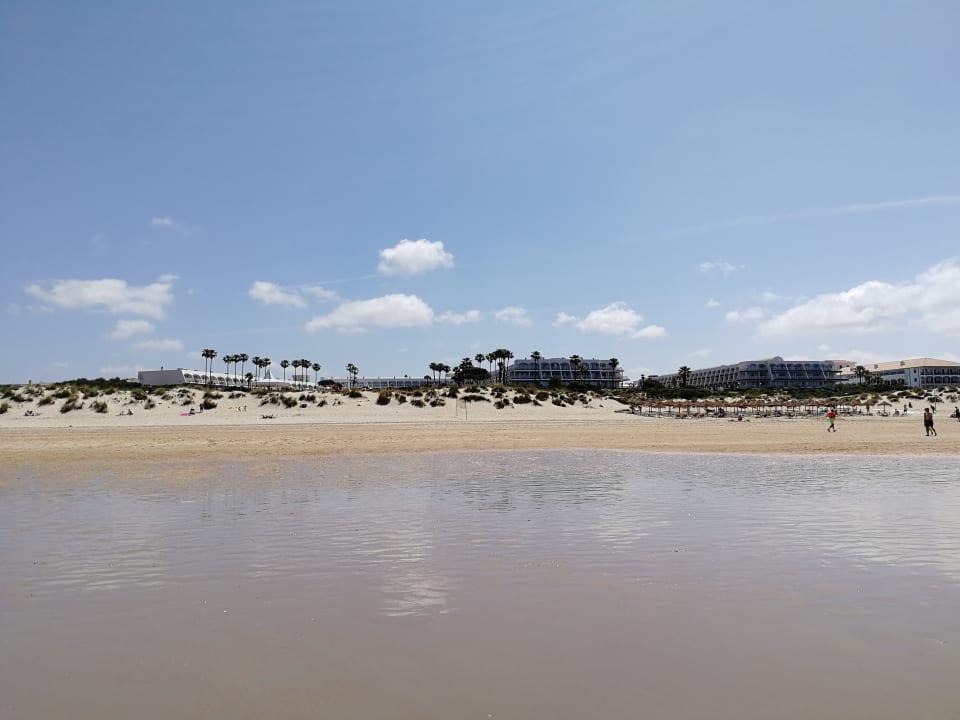 Ansicht vom Strand aus Iberostar Waves Royal Andalus
