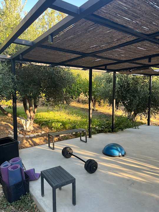 Sport & Freizeit Paralos The Maxine