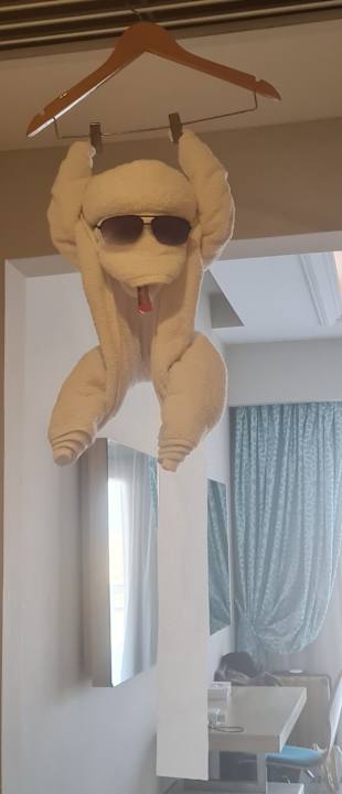 Zimmer Gravity Hotel & Aquapark Sahl Hasheesh