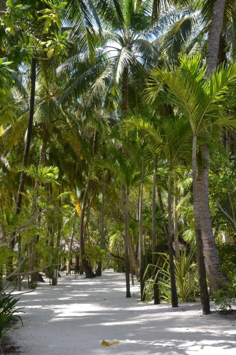 Weg, der die äußeren Inselenden verbindet Summer Island Maldives