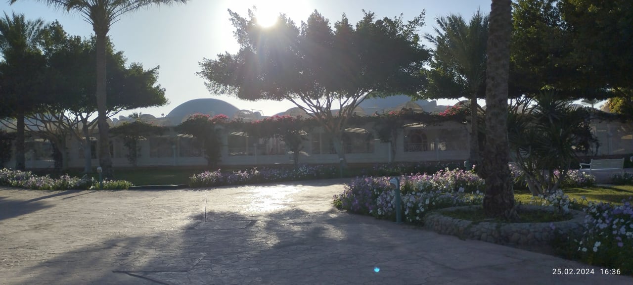 Außenansicht Desert Rose