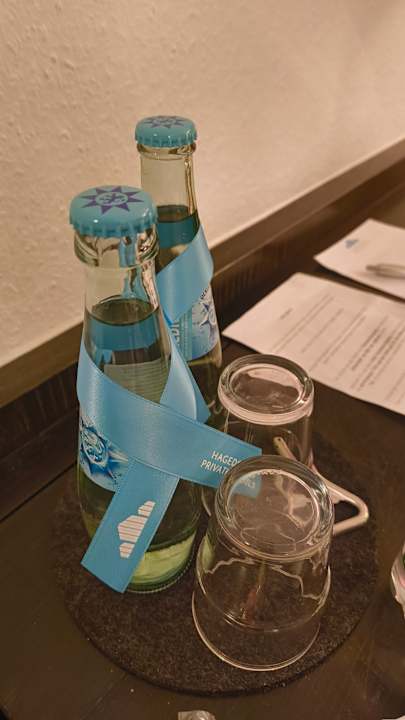 Zimmer H&S Hotel Wildpferd Dülmen