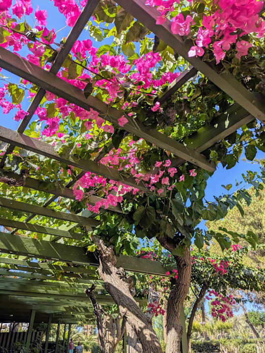 Gartenanlage Apollonia Beach Resort & Spa