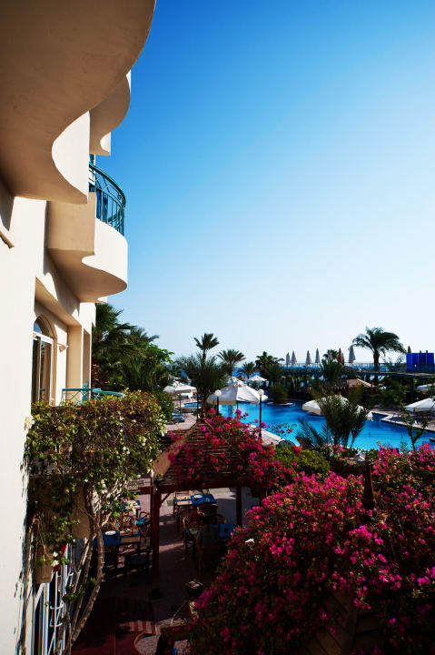 Bella Vista Garden Bella Vista Resort Hurghada