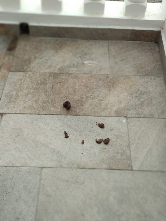 Sonstiges Appartements La Barranquera