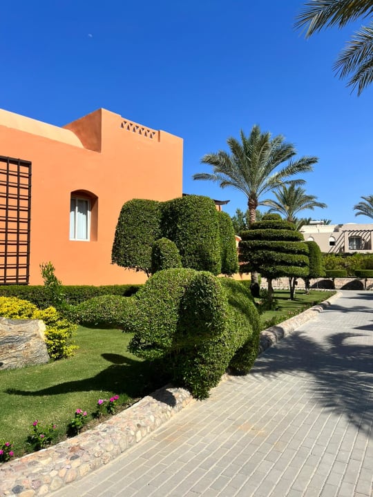 Gartenanlage Jaz Makadi Gardens - TUI BLUE Makadi Gardens - Adults Friendly 16 Years Plus