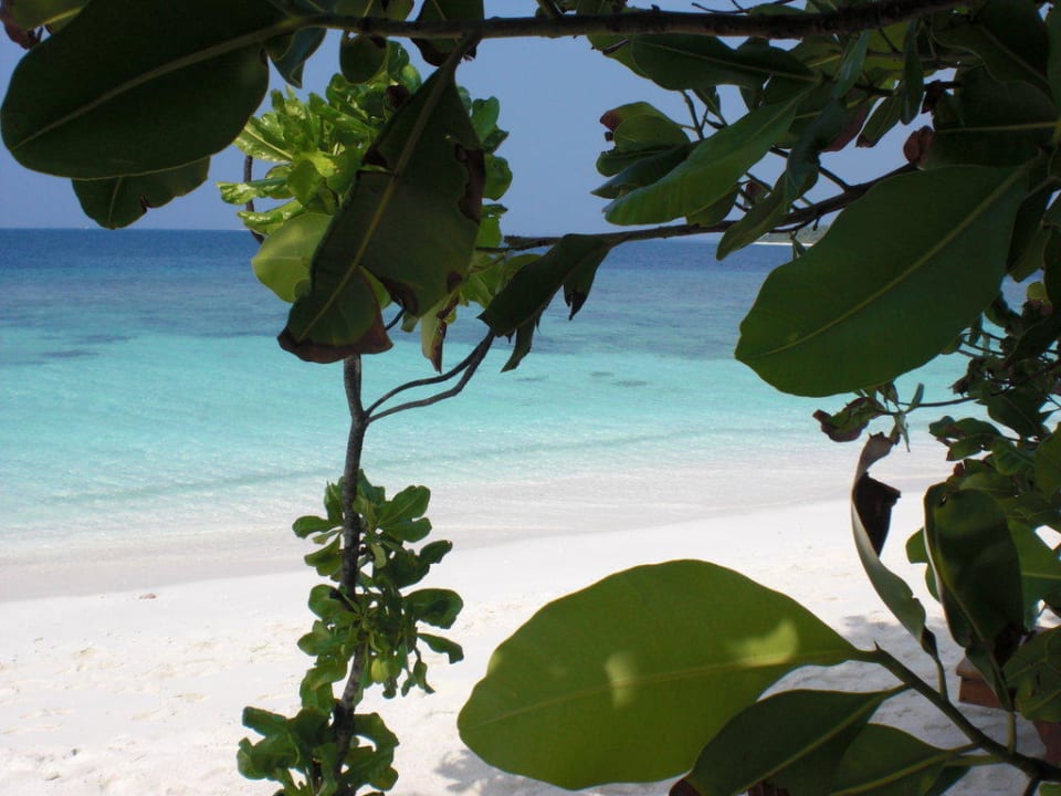 Blick vom Bungalow 131 Hammer NH Collection Maldives Reethi Resort