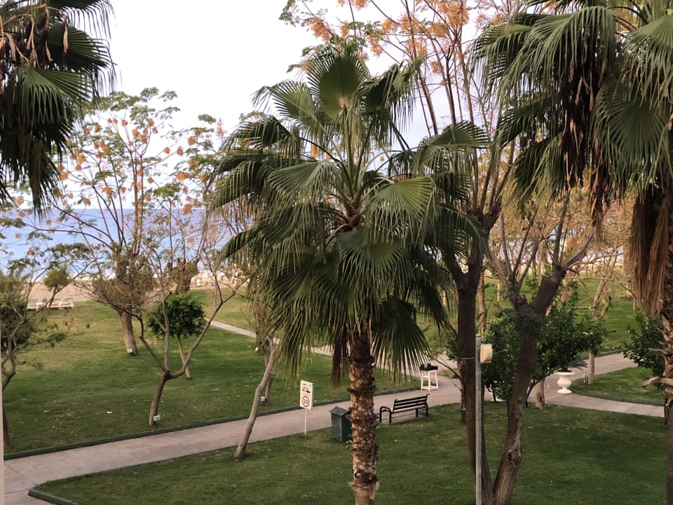 Ausblick Labranda Alantur Resort