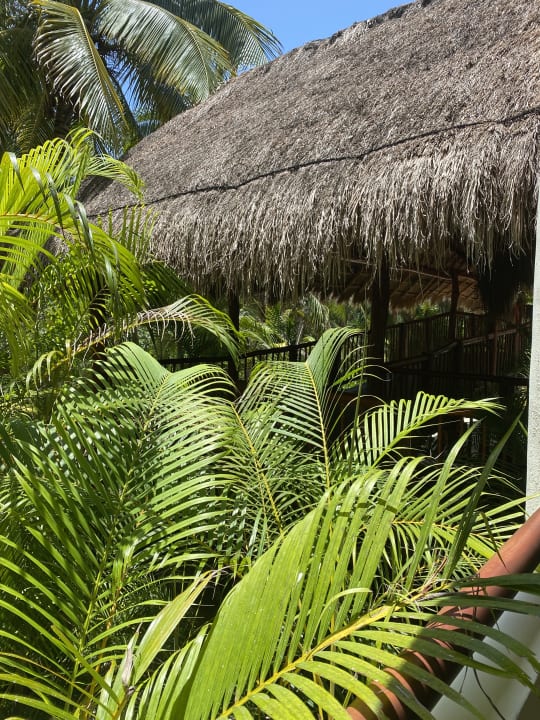 Ausblick Akumal Bay Beach & Wellness Resort