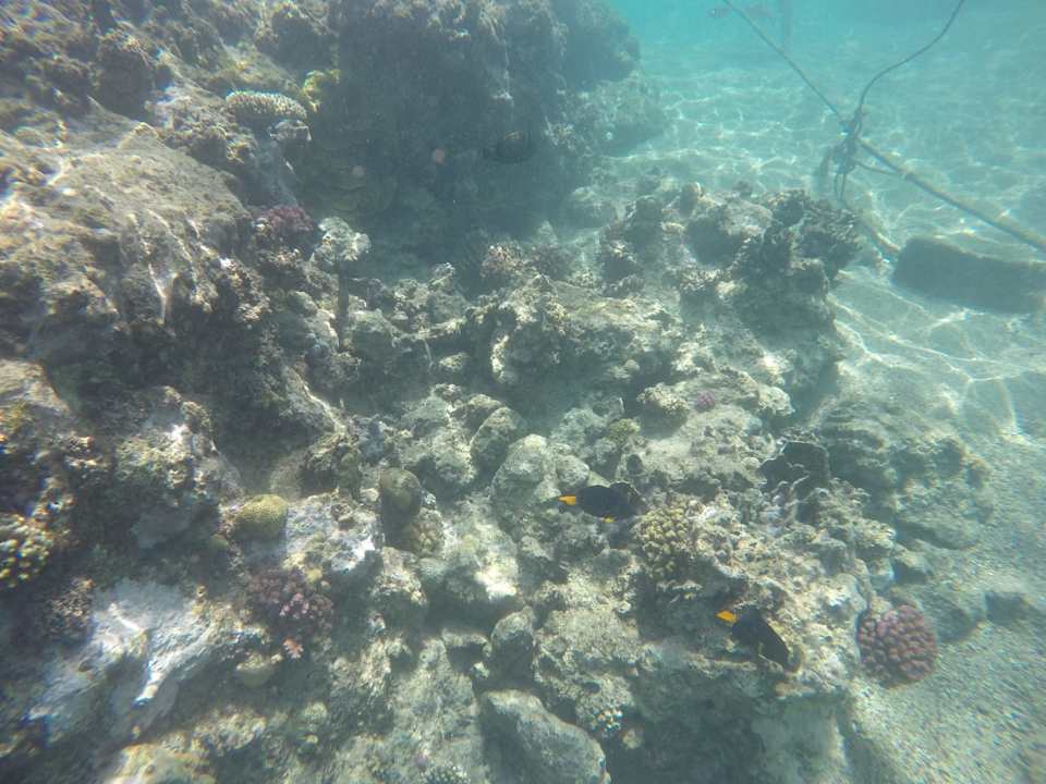 Sonstiges Coral Sun Beach