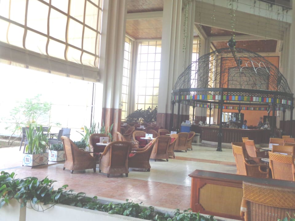 Lobbybar Blau varadero - Adults only