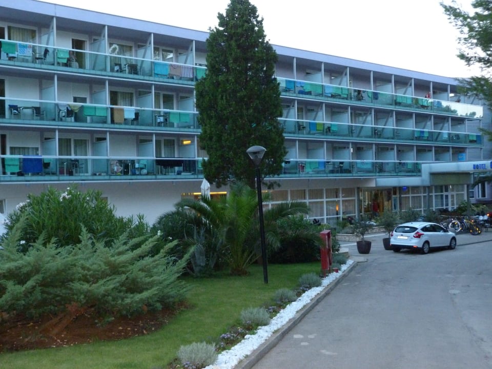 Eingang Hotel Hotel Aurora