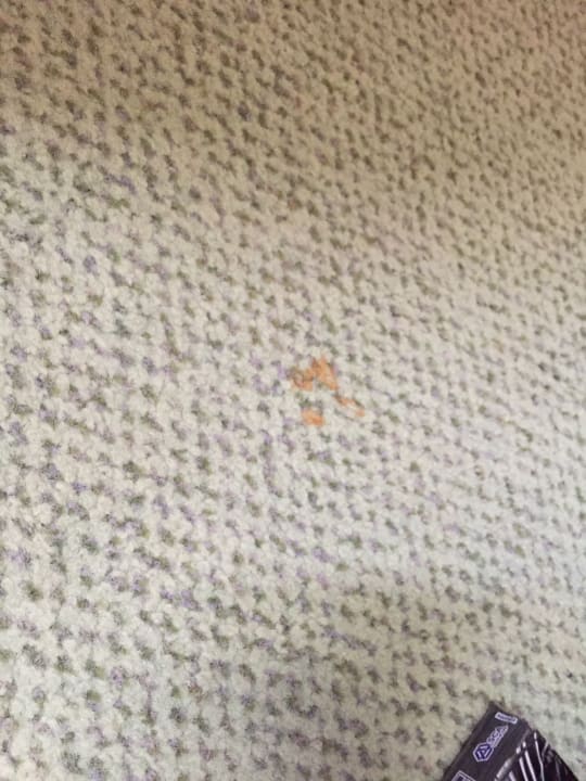 Zimmer Danubius Hotel Marina