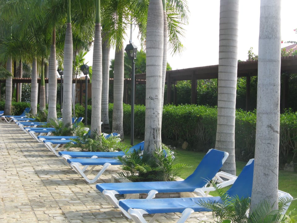 Festgeschraubte Liegen am Pool ohne Schirme Villas Bavaro Resort & Spa