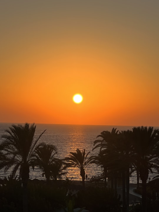 Ausblick TUI BLUE Pioneer Beach