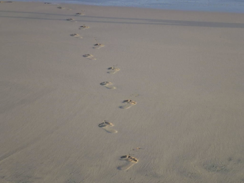 Mega toller Strand, kaum Steine und kein Seegras Hotel Riu Touareg