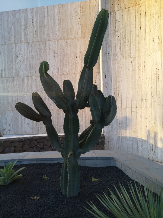 Außenansicht Hipotels La Geria