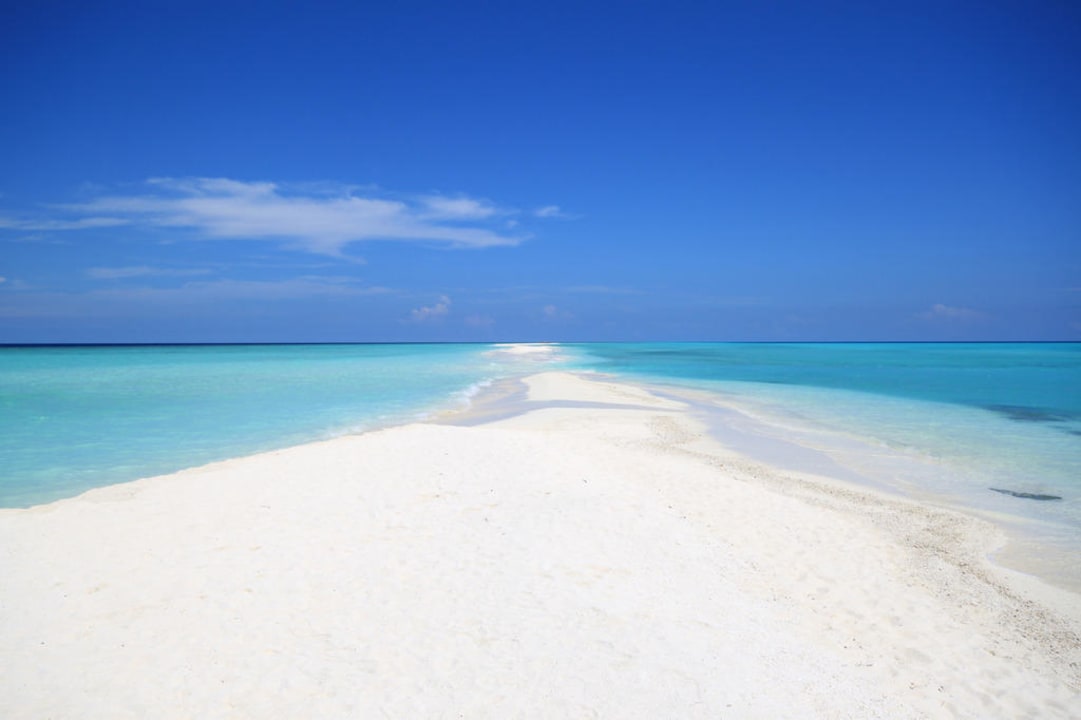 Sandbank Kuramathi Maldives