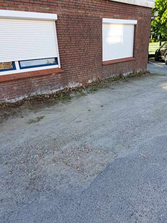 Außenansicht FRISIA NORDD Norddeich