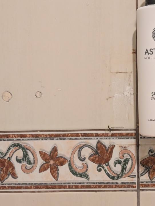 Zimmer Asteria Family Belek