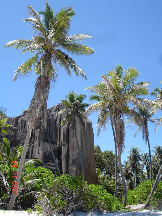 Traumstrände überall Hotel New Emerald Cove