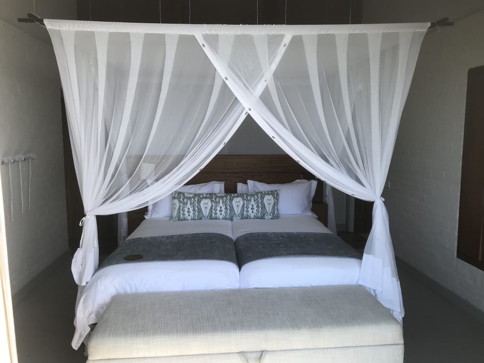 Zimmer Grootbos Private Nature Reserve - Forest Lodge