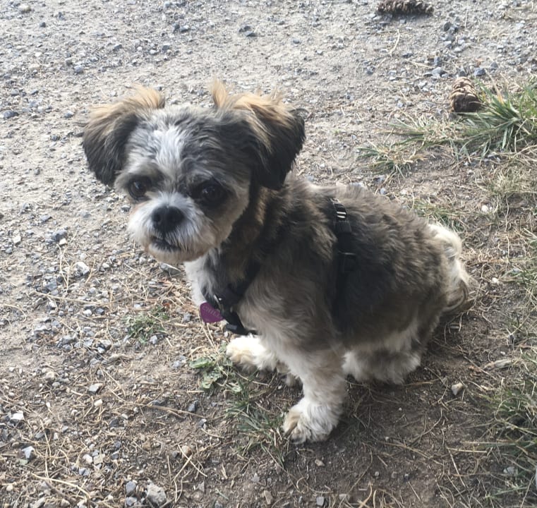 Sonstiges Hotel Castel