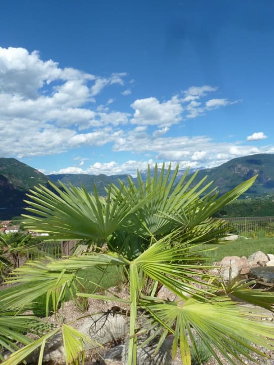 Ausblick Schloss Hotel Korb