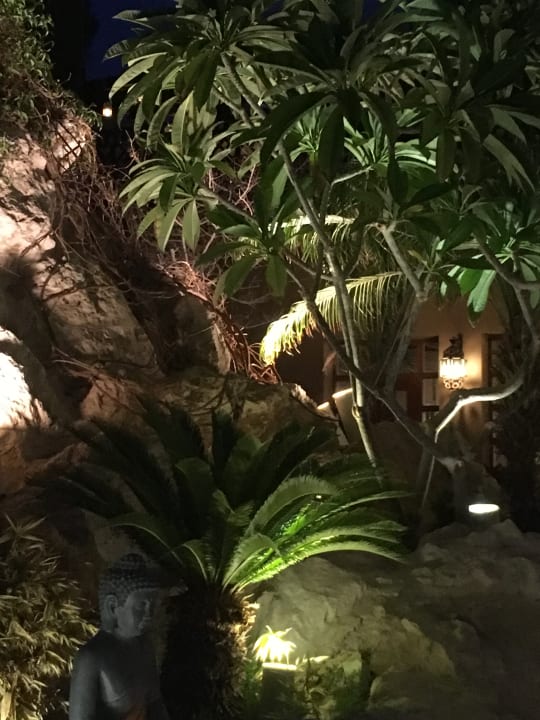 Gartenanlage Makadi Spa - Adults only