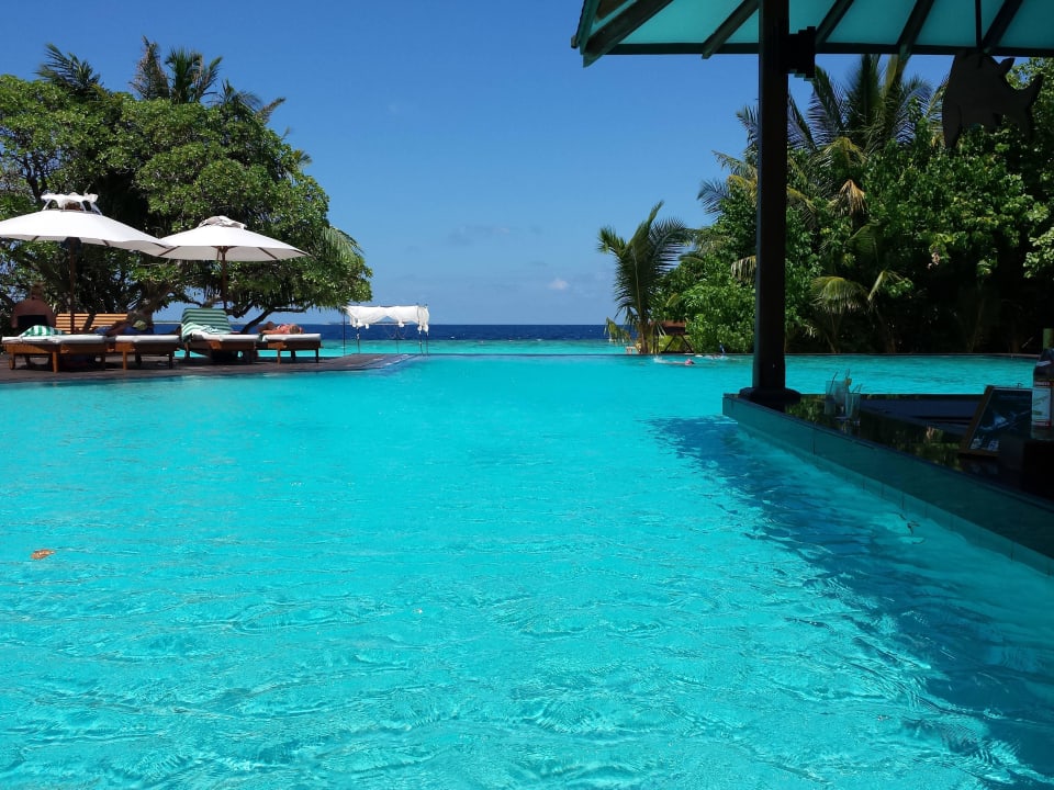 Pool mit Meerblick Adaaran Select Meedhupparu Island Resort - Premium All Inclusive