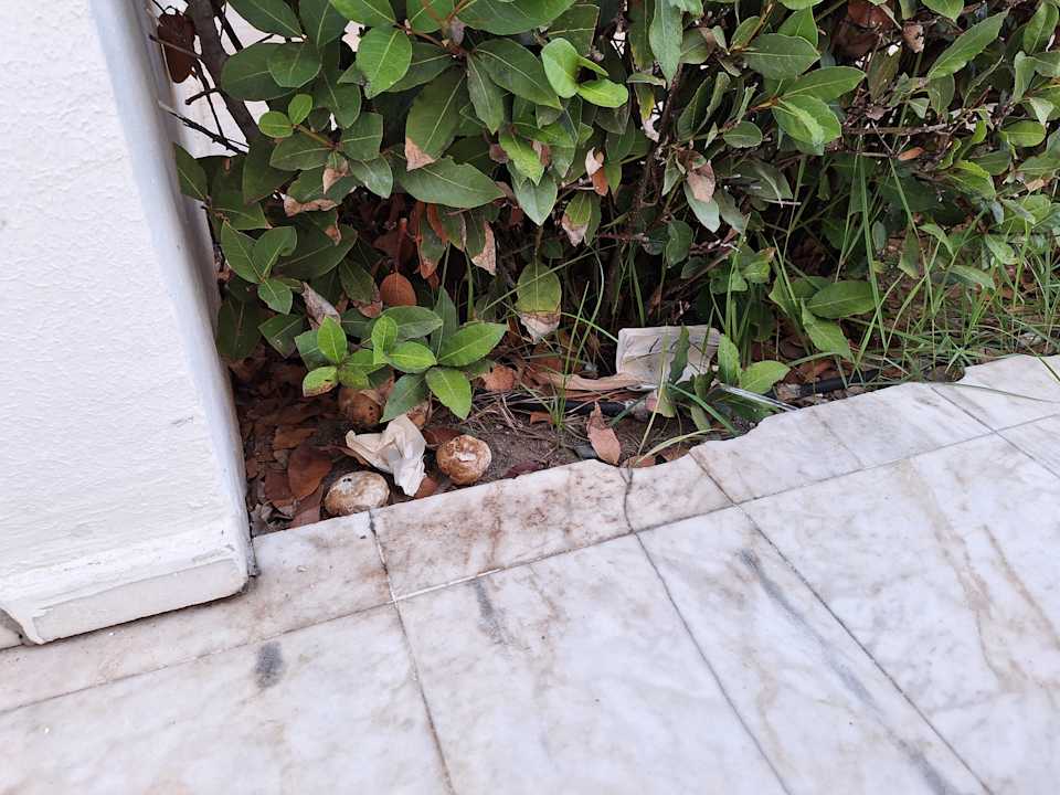 Zimmer Monachus Family Resort Sorgun